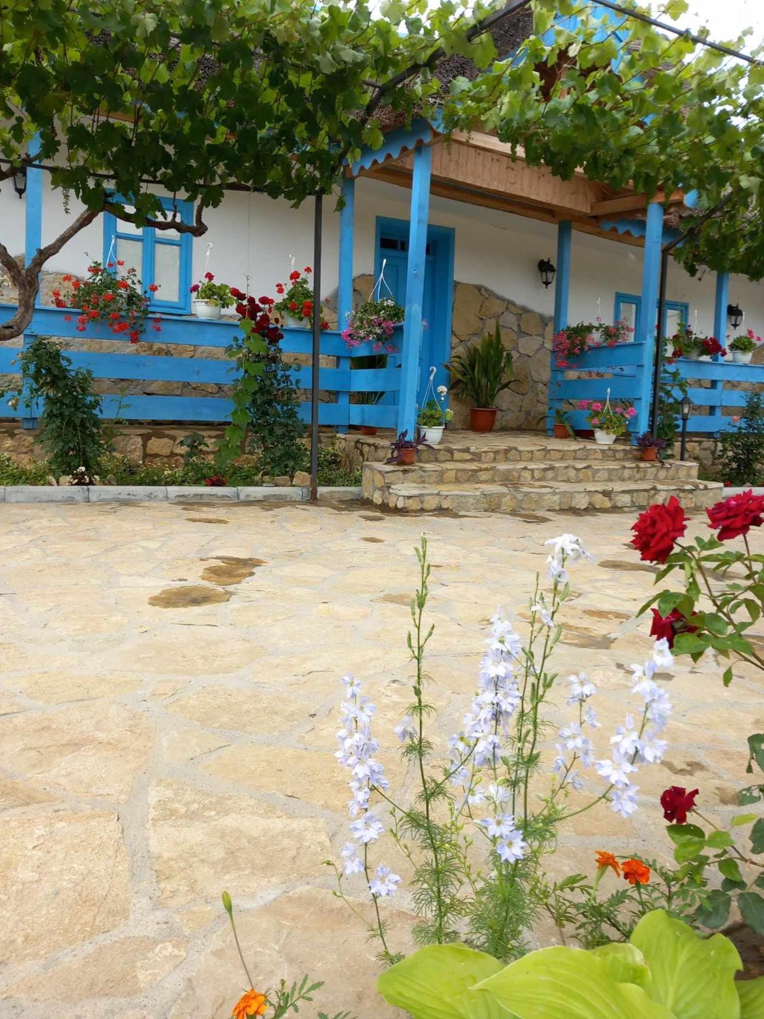 Casa Rasaritul Soarelui Sarichioi Hotel Exterior photo